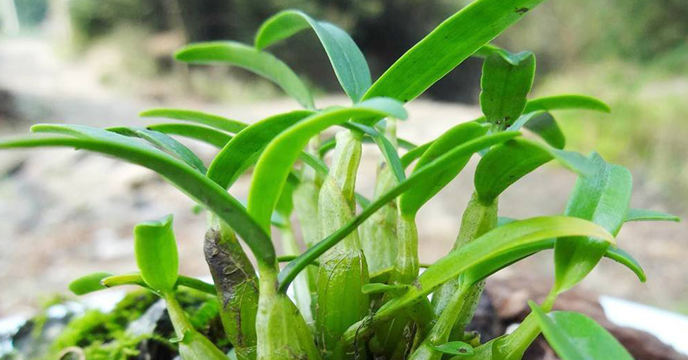 蕪湖財(cái)務(wù)代理，蕪湖財(cái)務(wù)記賬，讓企業(yè)蒸蒸日上